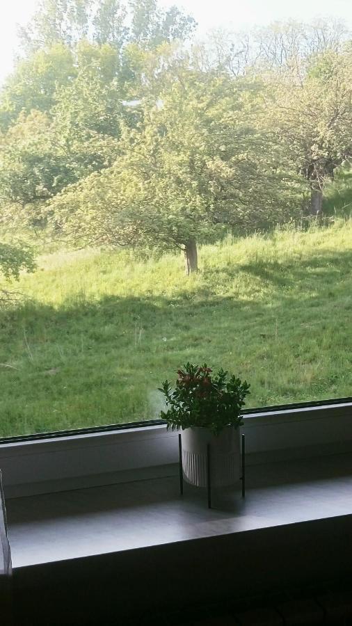 Appartamento Przylesie Uniejow Esterno foto